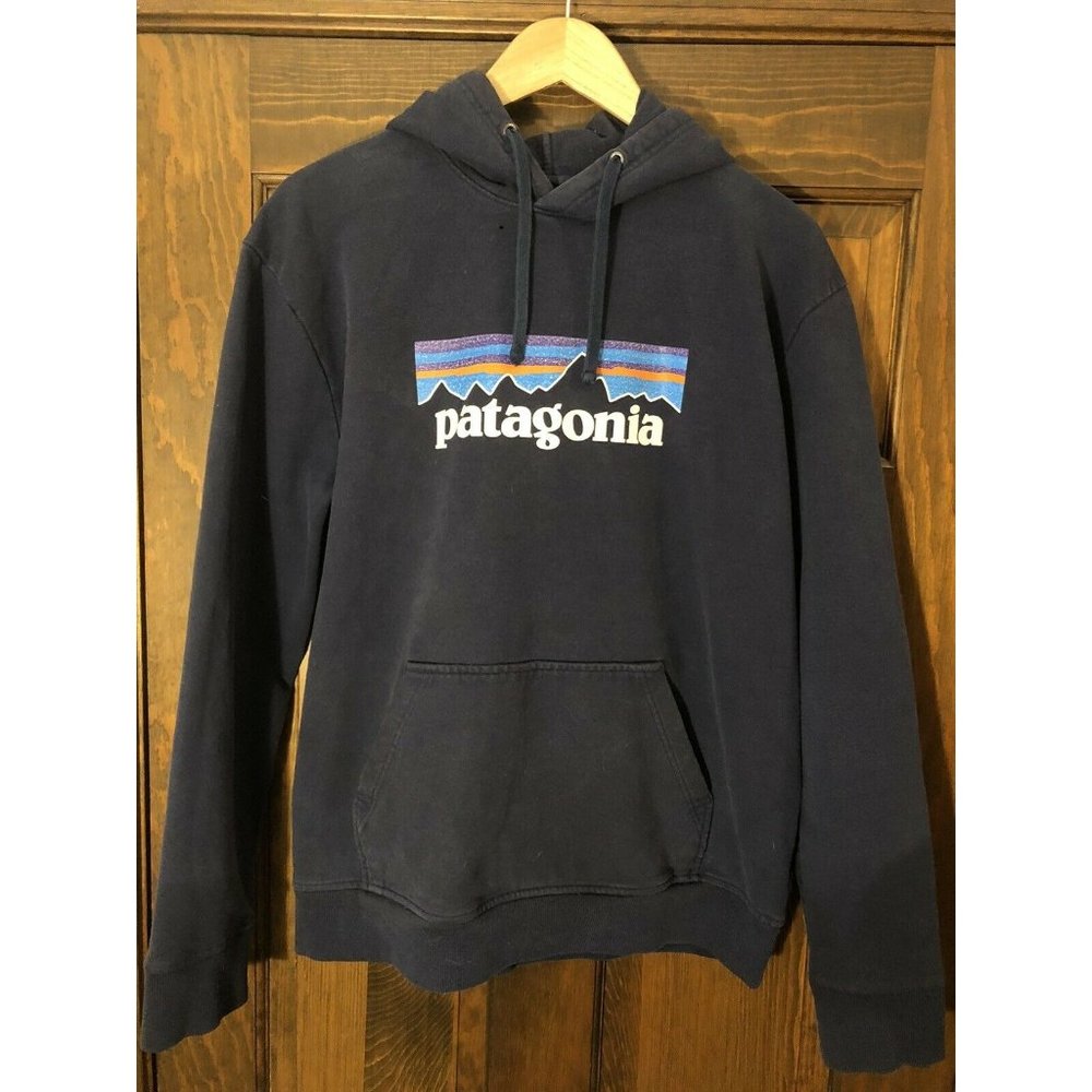 Men's Patagonia Blue Pull Over Hoodie Large